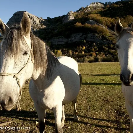 Landsted Aguas Frias I La Omañuela