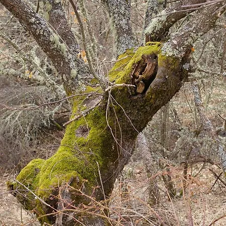 Landsted Aguas Frias I *