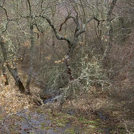 Aguas Frias I Landsted *