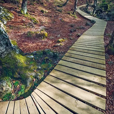 Aguas Frias I Landsted *