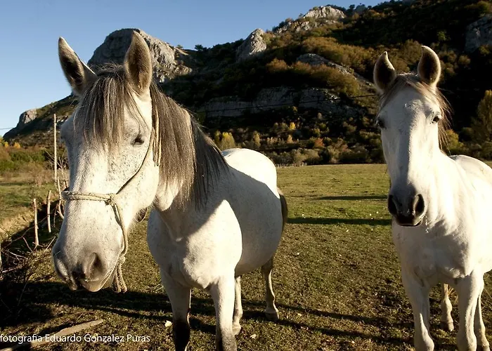 컨트리하우스 Aguas Frias I La Omañuela