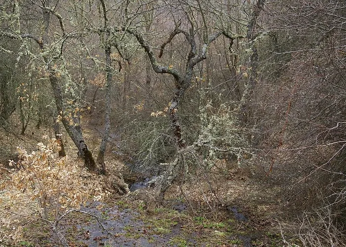 Aguas Frias I 컨트리하우스 *